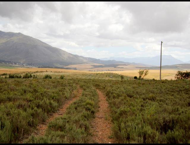 69HA FARM FOR SALE IN BOT RIVER